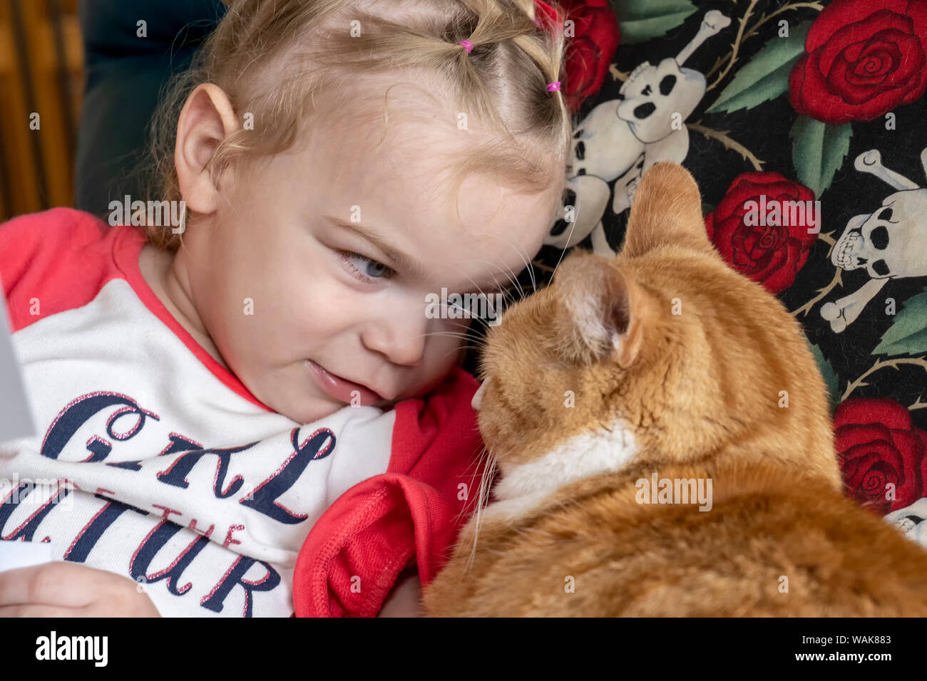 22 month old having a staring contest with her purebred shorthair domestic cat. (MR,PR) Stock Photo
