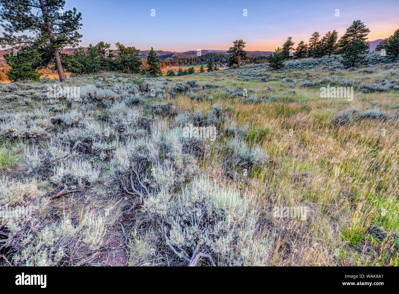 USA, Colorado, Red Feather Lakes. Sunset on landscape. Credit as: Fred Lord / Jaynes Gallery / DanitaDelimont.com Stock Photo