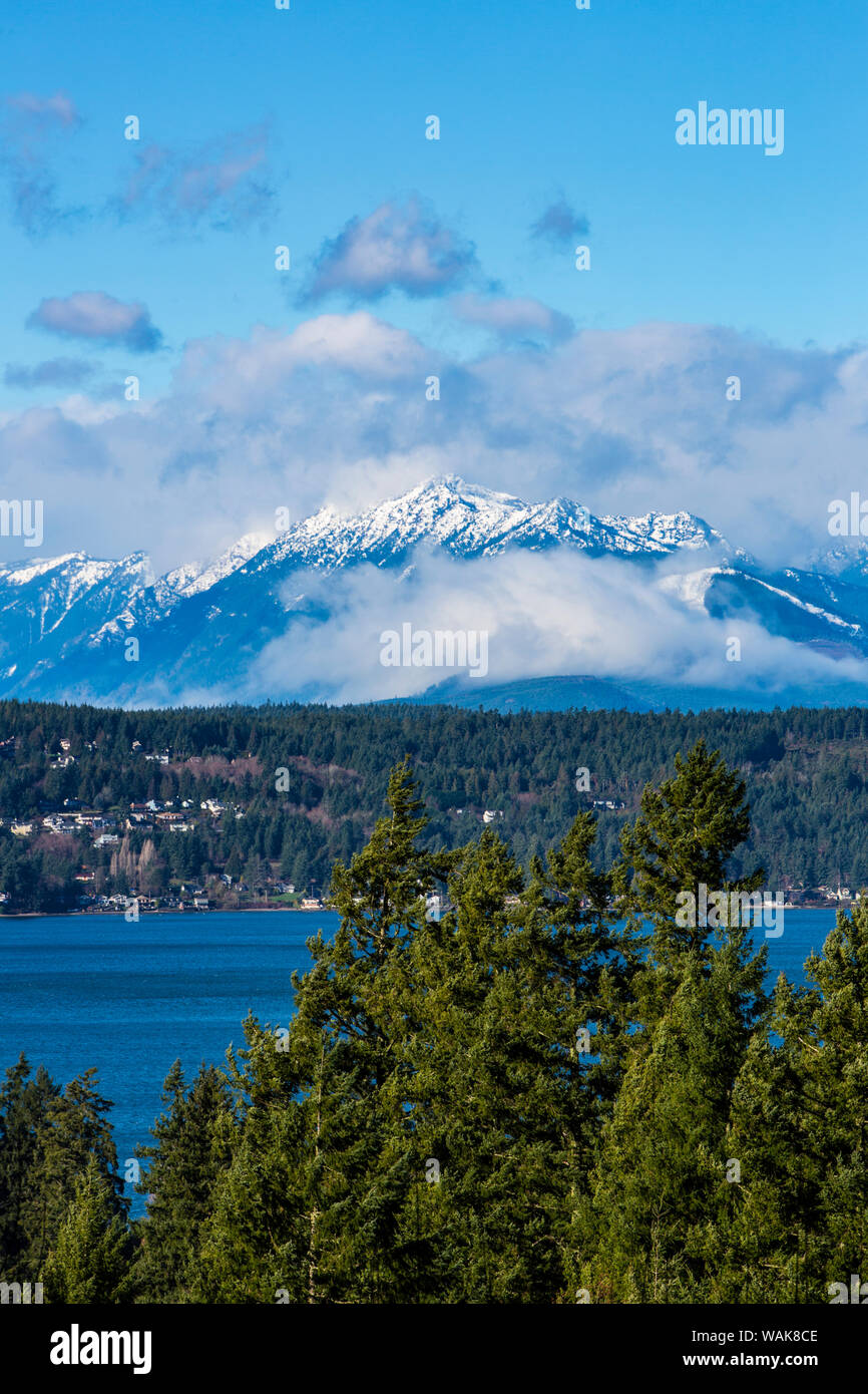 Bremerton, Washington State. Mount Constance looms over the Puget Sound Stock Photo