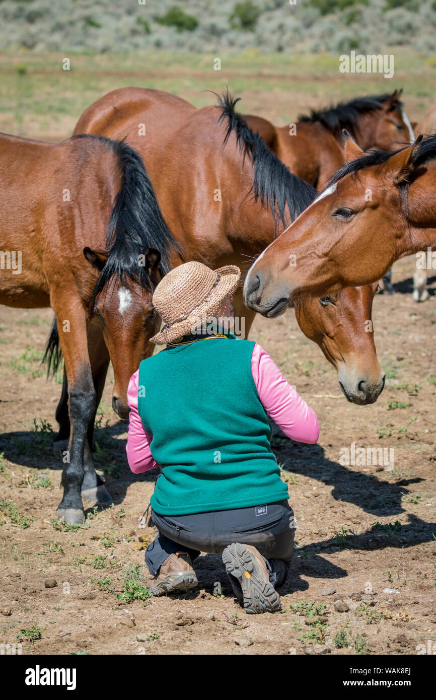 USA, Colorado, San Luis. Woman with wild horses. Credit as: Fred Lord / Jaynes Gallery / DanitaDelimont.com Stock Photo