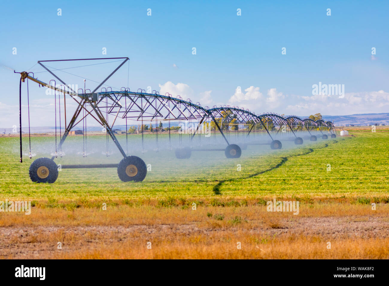 USA, Colorado, Monte Vista. Irrigation system watering hay field