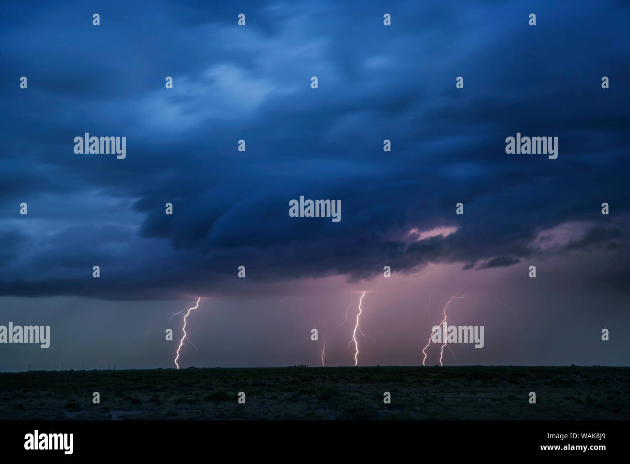 USA, Colorado, San Luis Valley. Lightning bolts from storm clouds. Credit as: Don Grall / Jaynes Gallery / DanitaDelimont.com Stock Photo