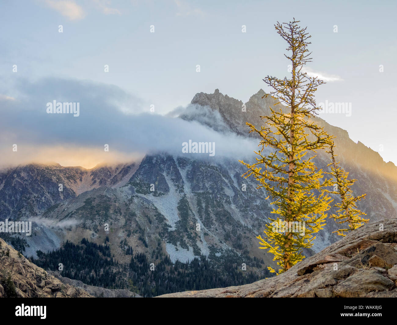 USA, Washington State. Alpine Lakes Wilderness, Stuart Range, Mount Stuart Stock Photo