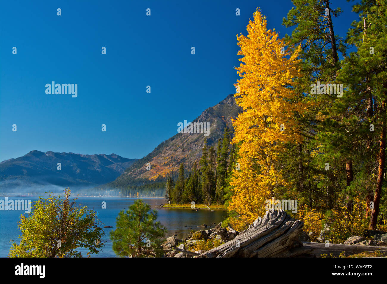 Autumn scene, Lake Wenatchee, Wenatchee National Forest, Washington