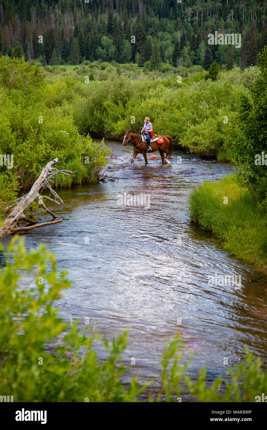 Horseback riding in Rocky Mountains. (Editorial Use Only Stock Photo