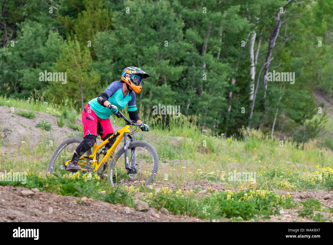 Biking on a downhill trail. (Editorial Use Only) Stock Photo