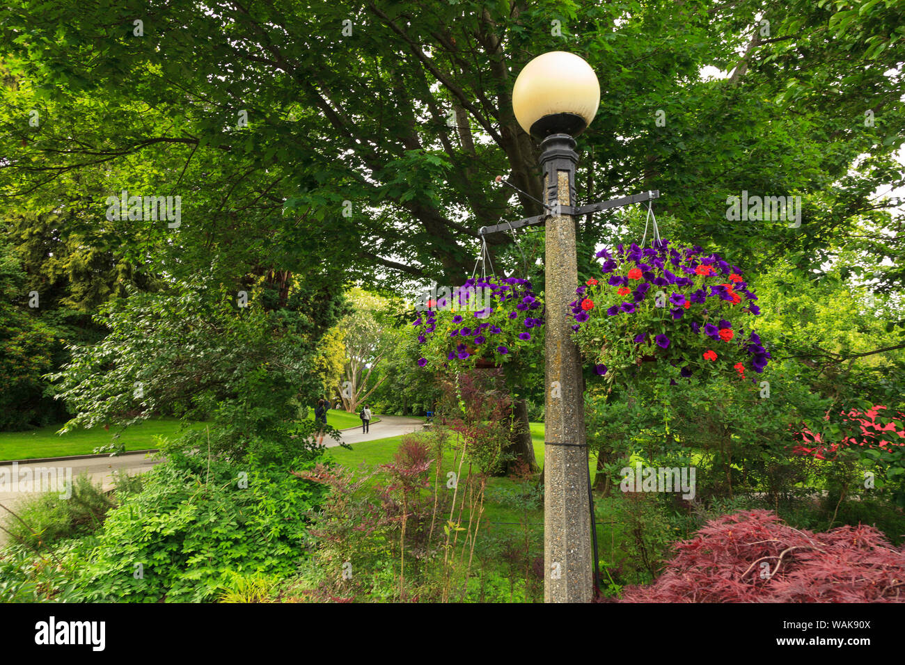 Carl S. English Jr. Botanical Garden, Ballard area of Seattle, Washington State, USA Stock Photo