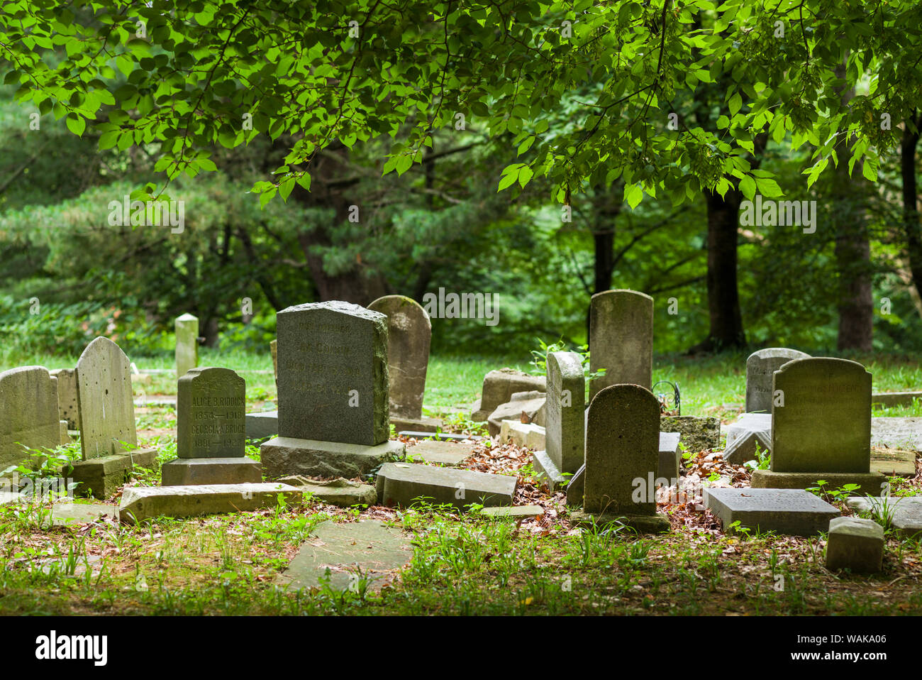 USA, Washington D.C. Female Union Band Cemetery, gravestones of
