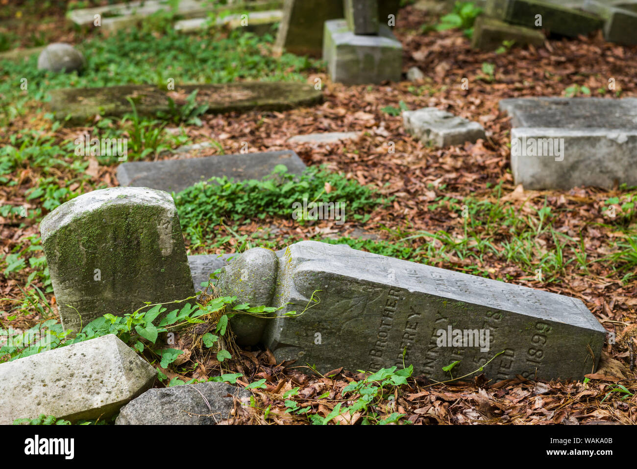 USA, Washington D.C. Female Union Band Cemetery, gravestones of