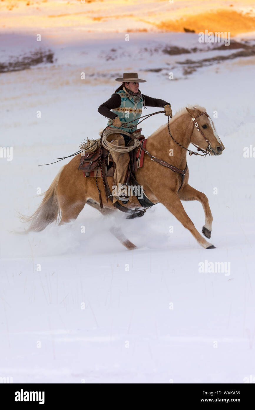 Horse drive in winter on Hideout Ranch, Shell, Wyoming. Cowgirl on