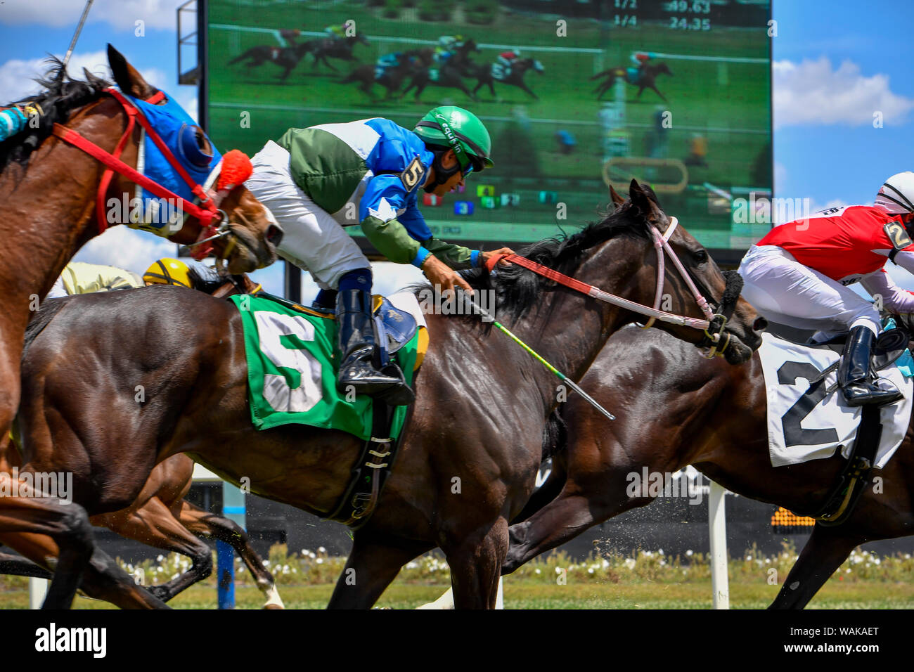 Riding crop horse hires stock photography and images Alamy
