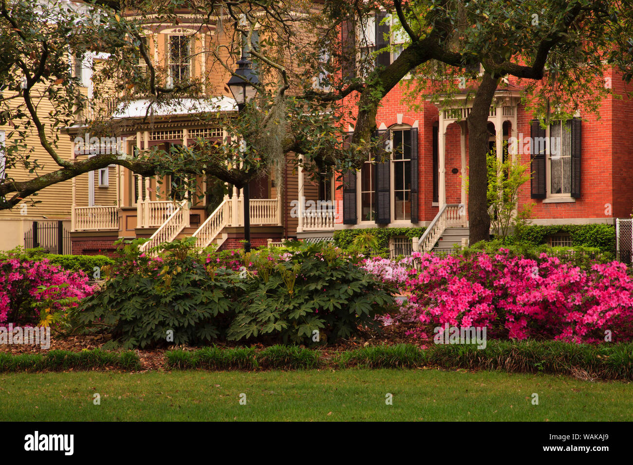 USA, Georgia, Savannah. Historic District in the spring. Stock Photo