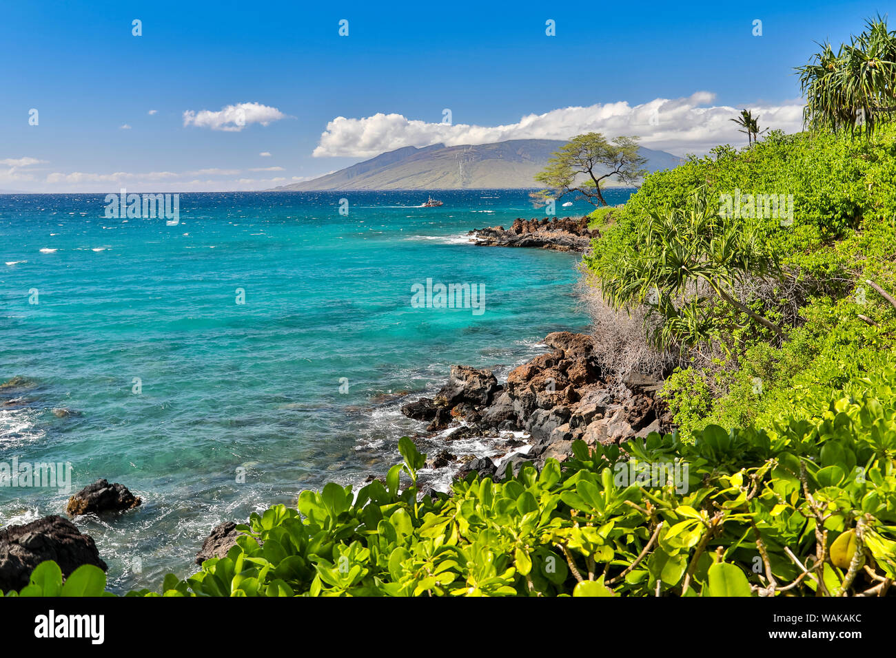 Polo beach maui hi-res stock photography and images - Alamy