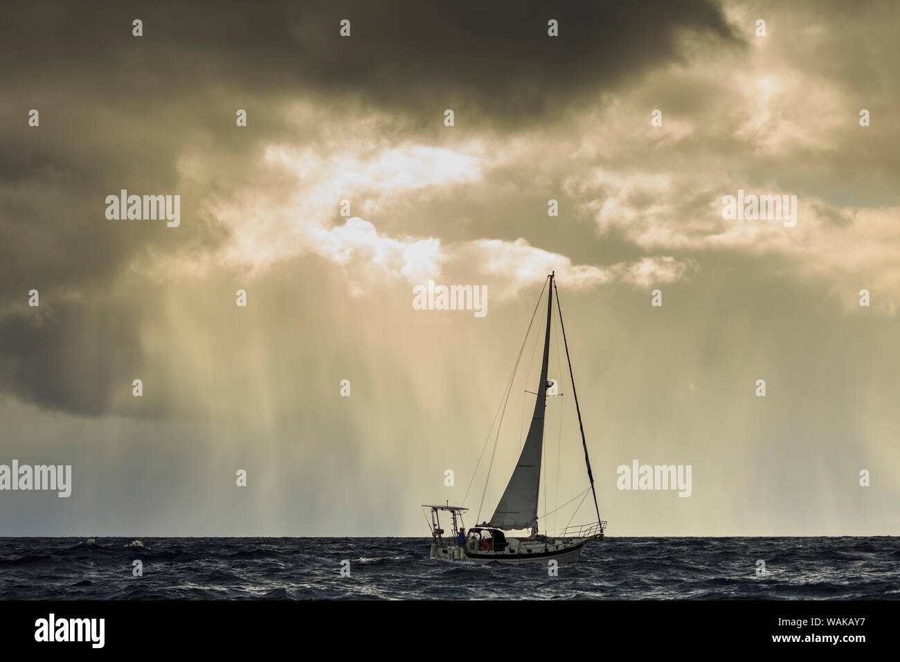 Small sailboat in stormy seas, near Lahaina, Maui, Hawaii, USA Stock Photo