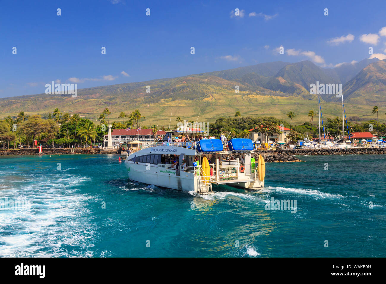 Maui, Hawaii, USA. Whale-watching boat. (Editorial Use Only) Stock Photo