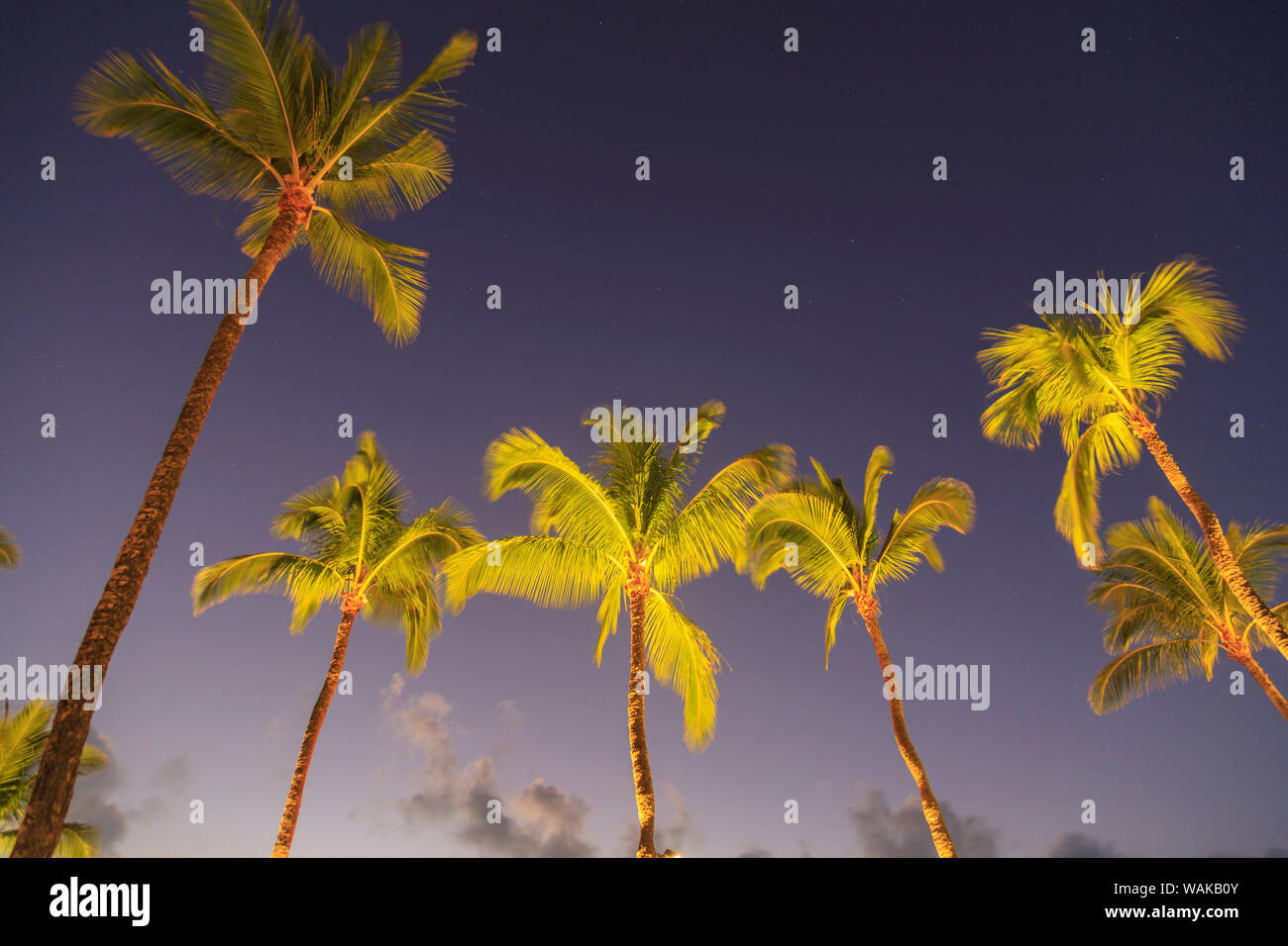 Maui sunset palm tree hires stock photography and images Alamy