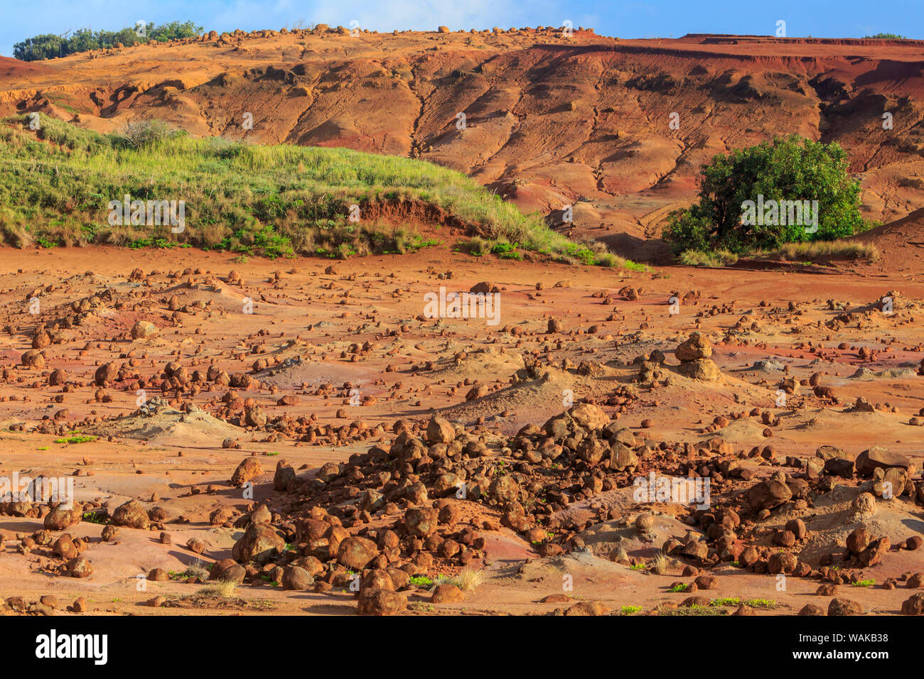Kaehiakawaelo (Garden of the Gods), a Martian landscape of red dirt, purple lava and rock formations created by ages of erosion. Lanai Island, Hawaii, USA Stock Photo