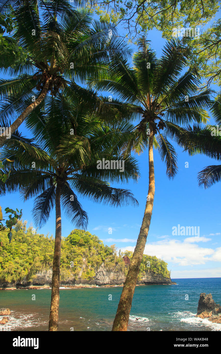 Hilo hawaii, botanical garden hires stock photography and images Alamy