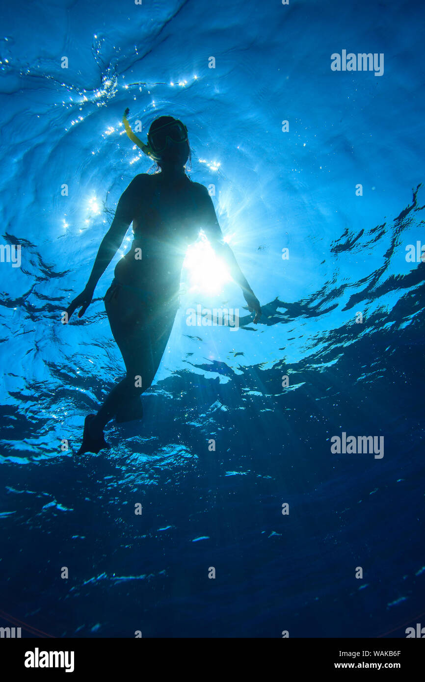Snorkeling hawaii hi-res stock photography and images - Alamy