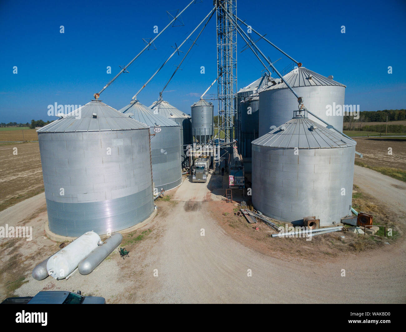 Grain bins and elevator. Marion County, Illinois. Stock Photo