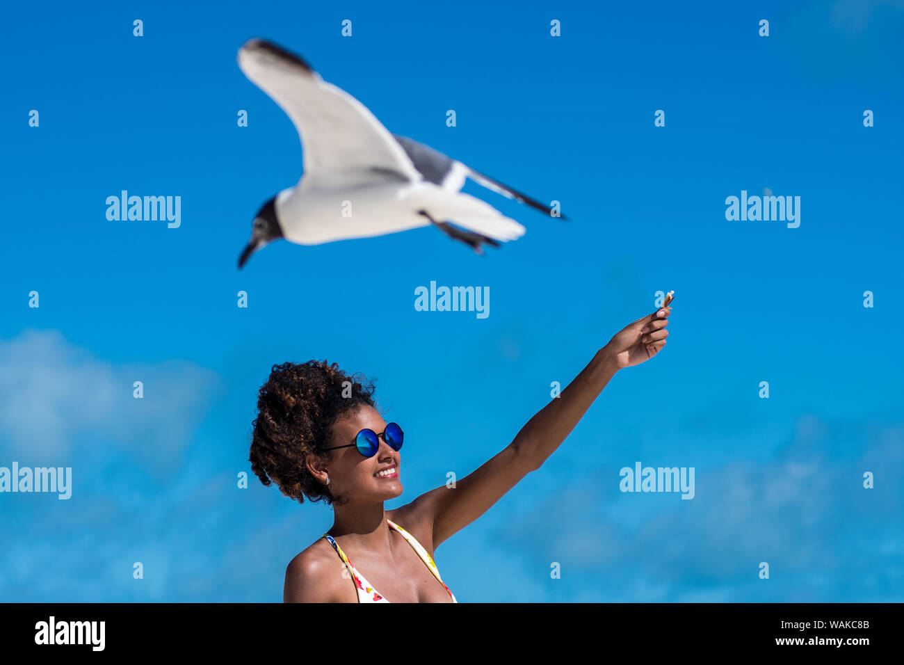 Woman feeding seagull on the beach los roques venezuela Stock Photo