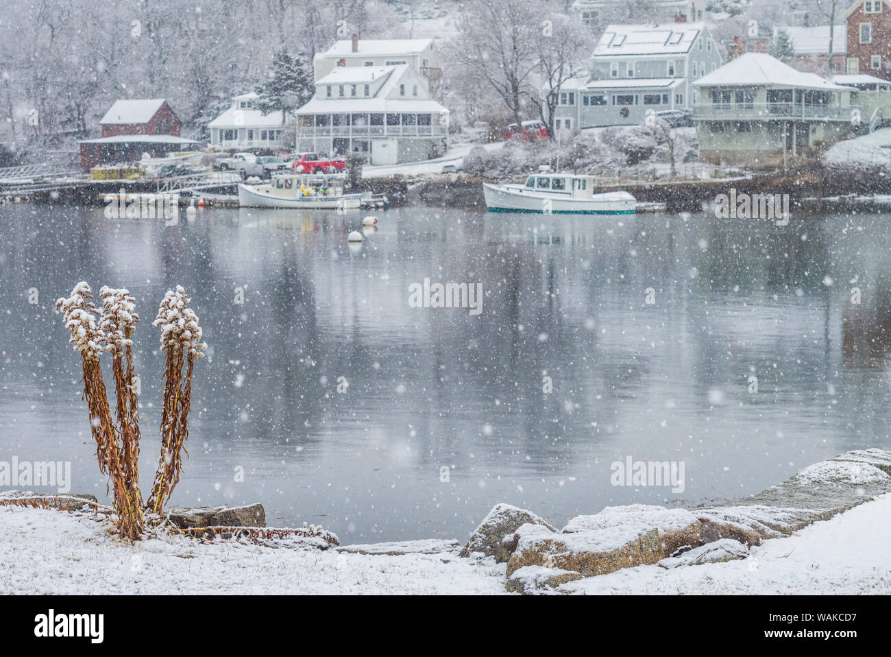 USA, Massachusetts, Cape Ann, Annisquam. Lobster Cove, winter Stock