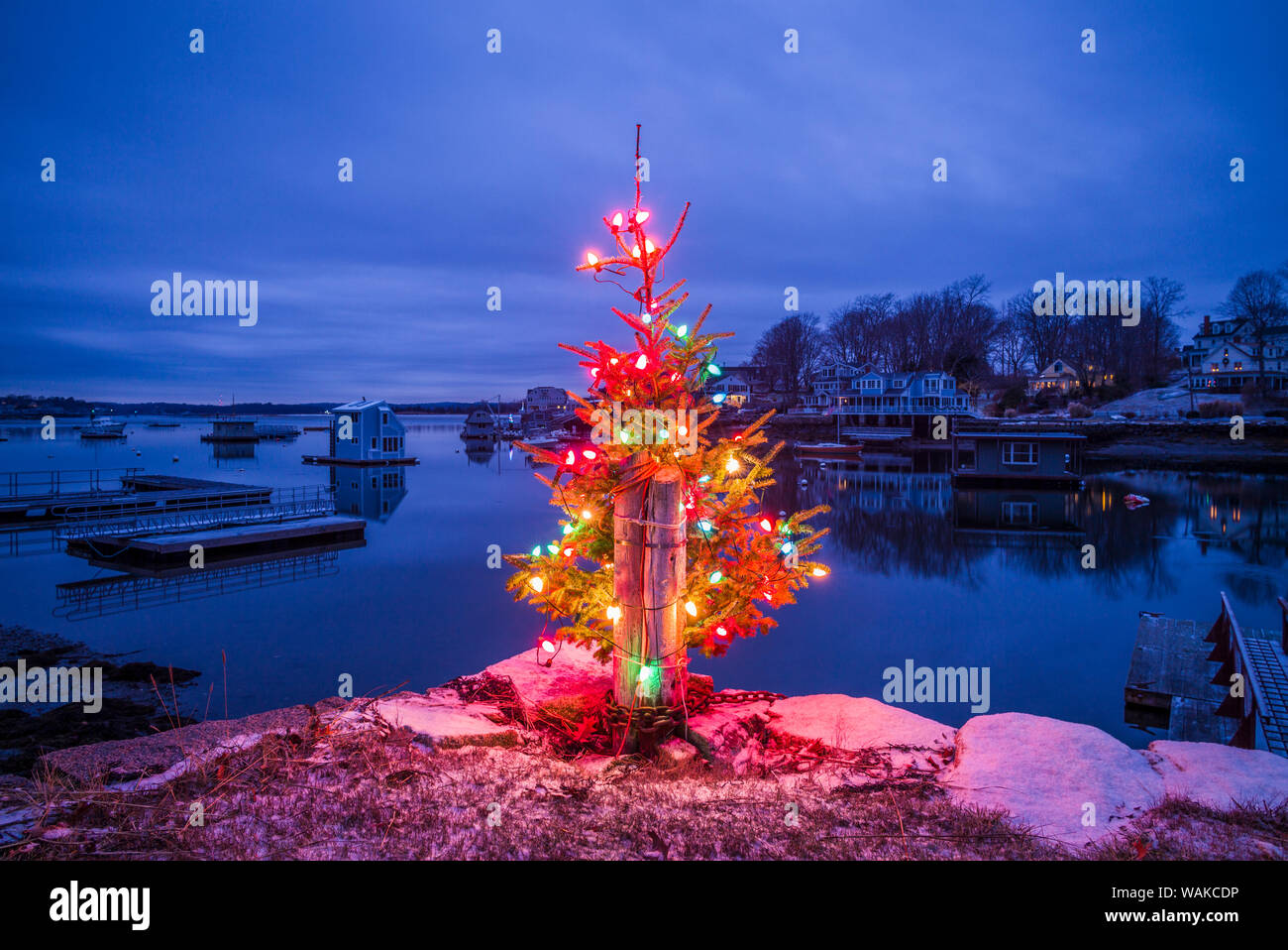 USA, Massachusetts, Cape Ann, Annisquam. Lobster Cove, Christmas Tree