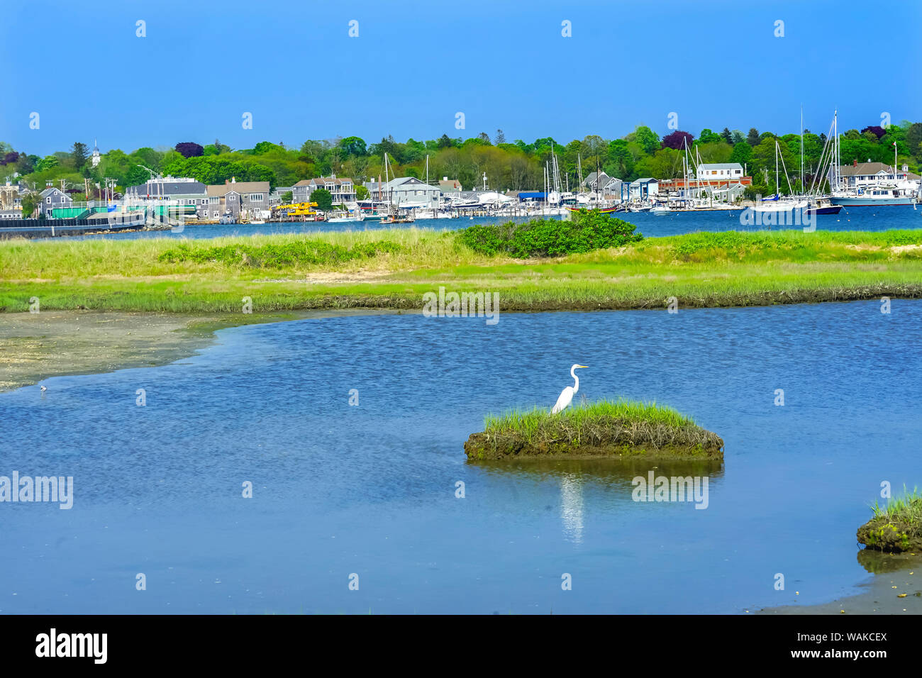 Padanaram Village High Resolution Stock Photography and Images Alamy