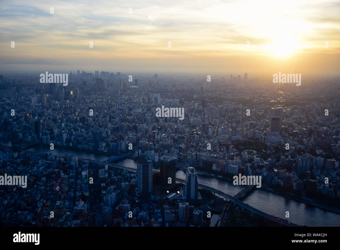 Aerial view of Tokyo cityscape from top of Tokyo Skytree Tower in ...
