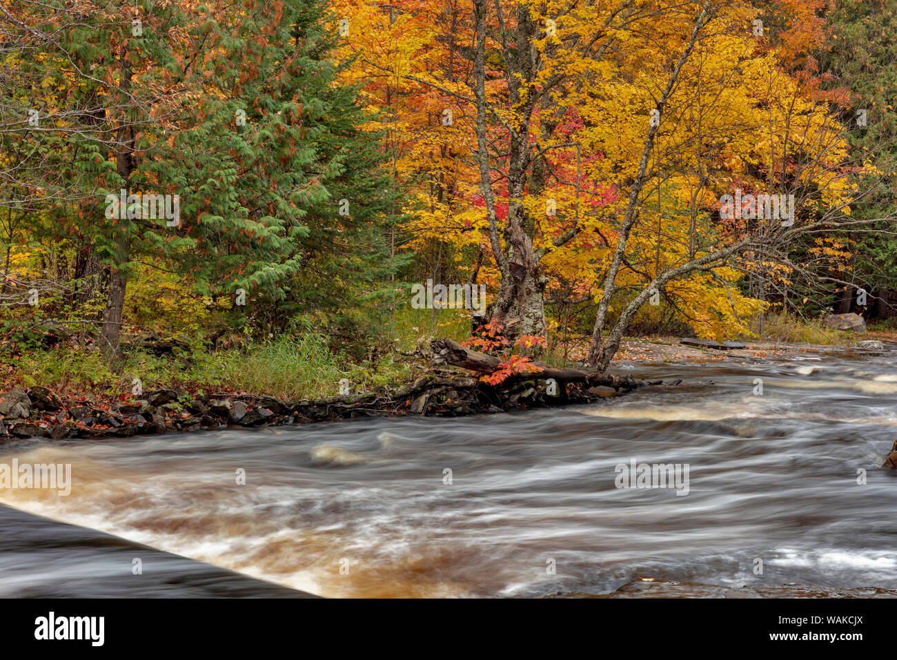 Sturgeon River in autumn near Alberta in the Upper Peninsula of