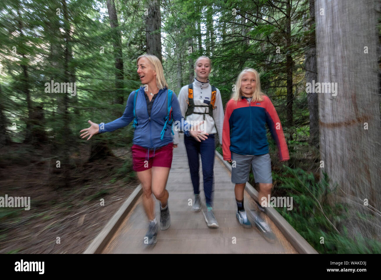 Family hike in Avalanche Gorge in Glacier National Park, Montana, USA (MR) Stock Photo