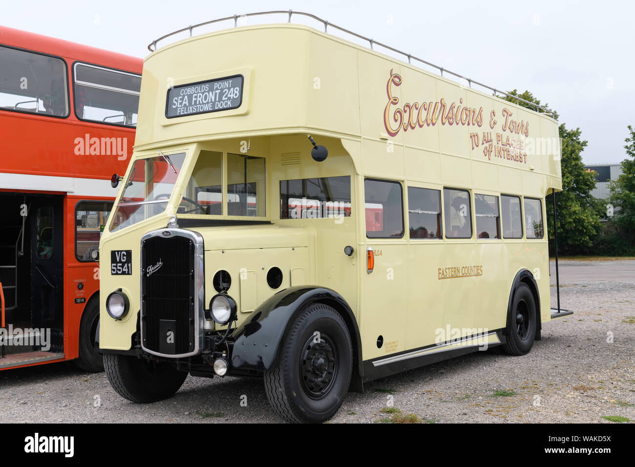 1933 Eastern Counties operated Bristol GJW Weymann body open top double decker bus. Stock Photo