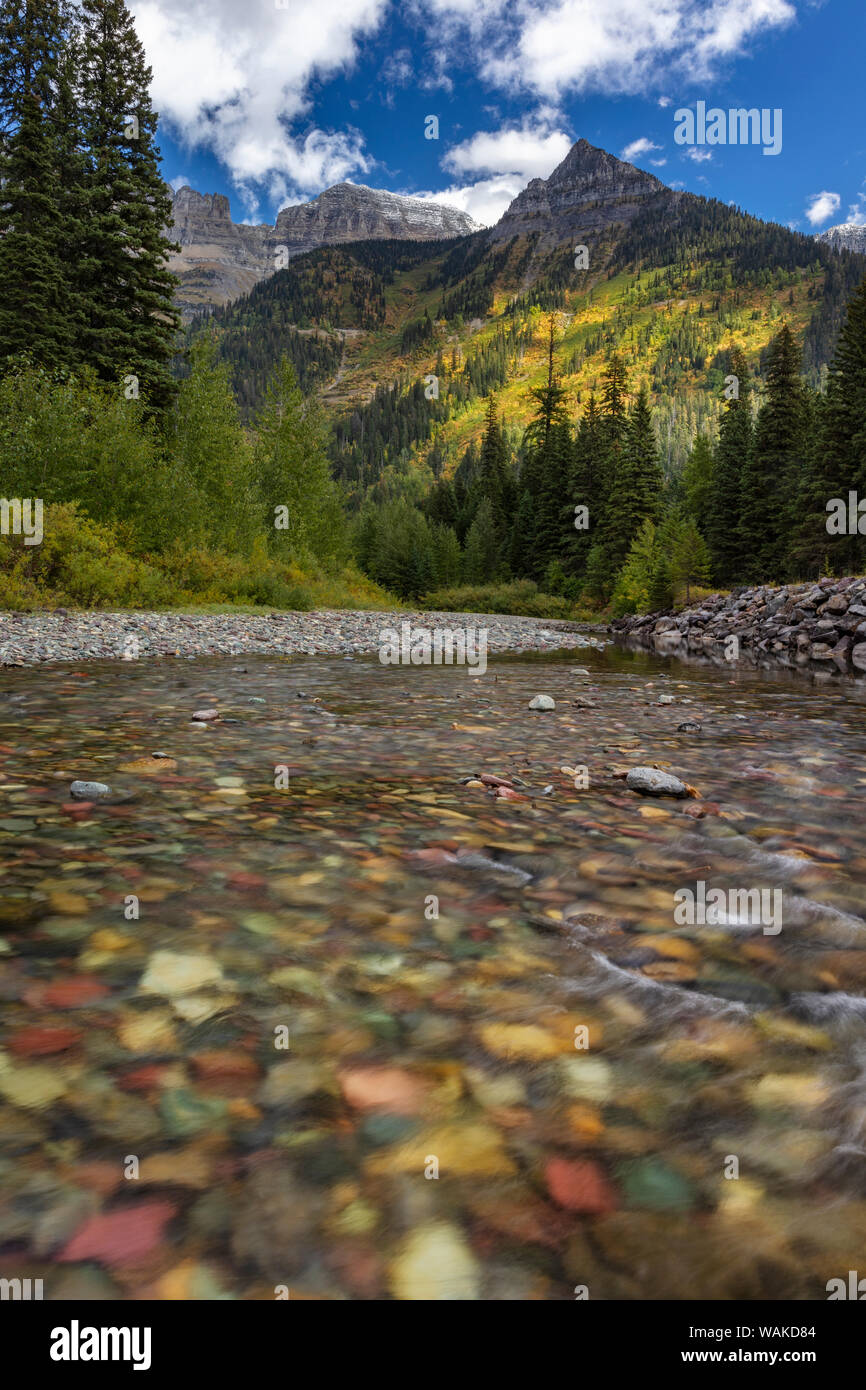 McDonald Creek with Garden Wall in early autumn in Glacier National Park, Montana, USA Stock Photo