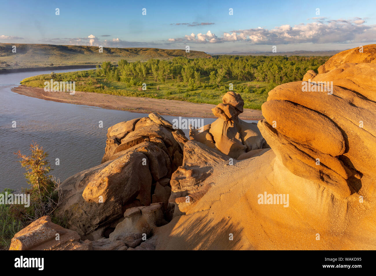 Sandstone badland formations along the Powder River in Custer County, Montana, USA Stock Photo