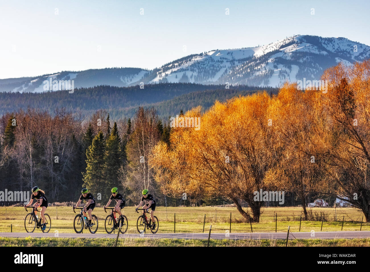 Family road bicycling on Haskill Basin Road with Big Mountain in the background in Whitefish, Montana, USA (MR) Stock Photo