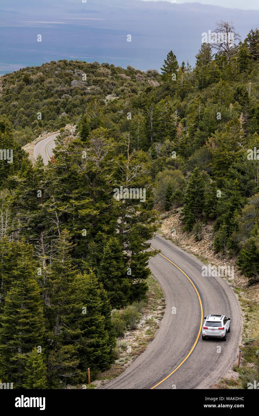 Wheeler Peak Scenic Highway Road in Great Basin National Park, Nevada, USA Stock Photo