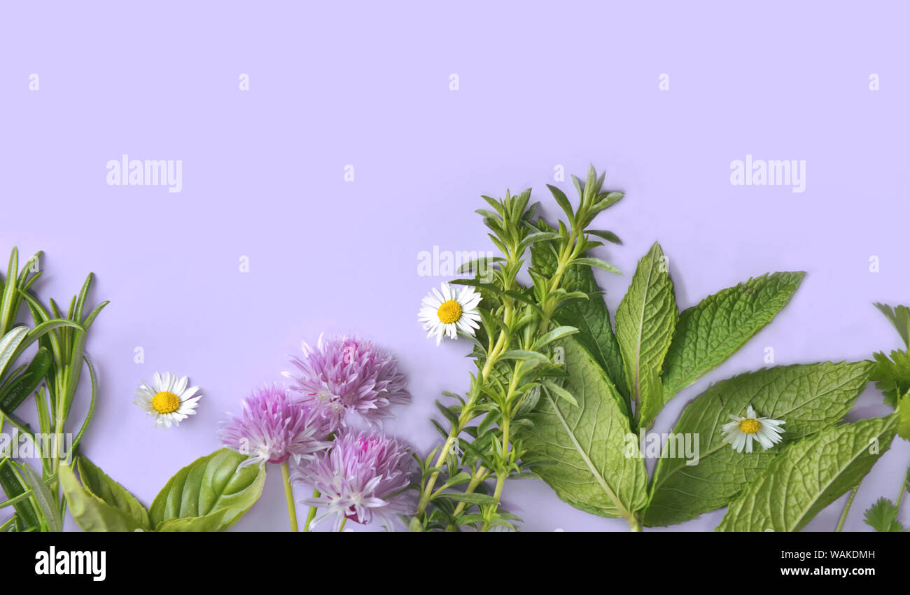 various aromatic fresh herbs on blue background Stock Photo