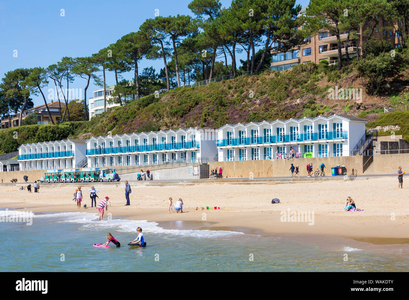 Beach and beach huts at Branksome Chine, Poole, Dorset UK on a warm sunny day in August Stock Photo