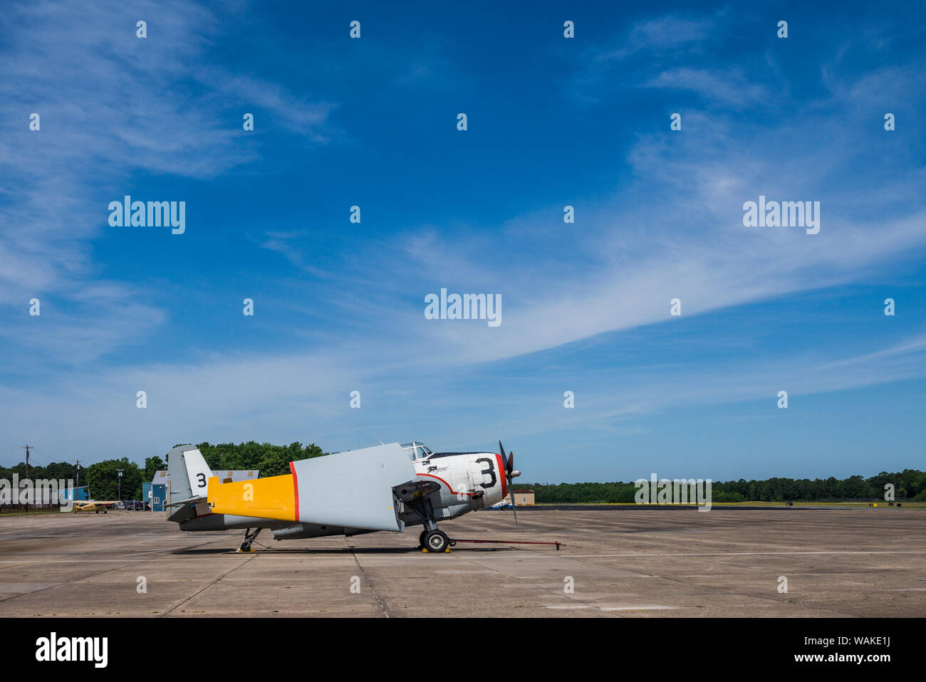 USA, New Jersey, Rio Grande. Naval Air Station Wildwood Aviation Museum, WW2-era TBM Avenger torpedo bomber (Editorial Use Only) Stock Photo