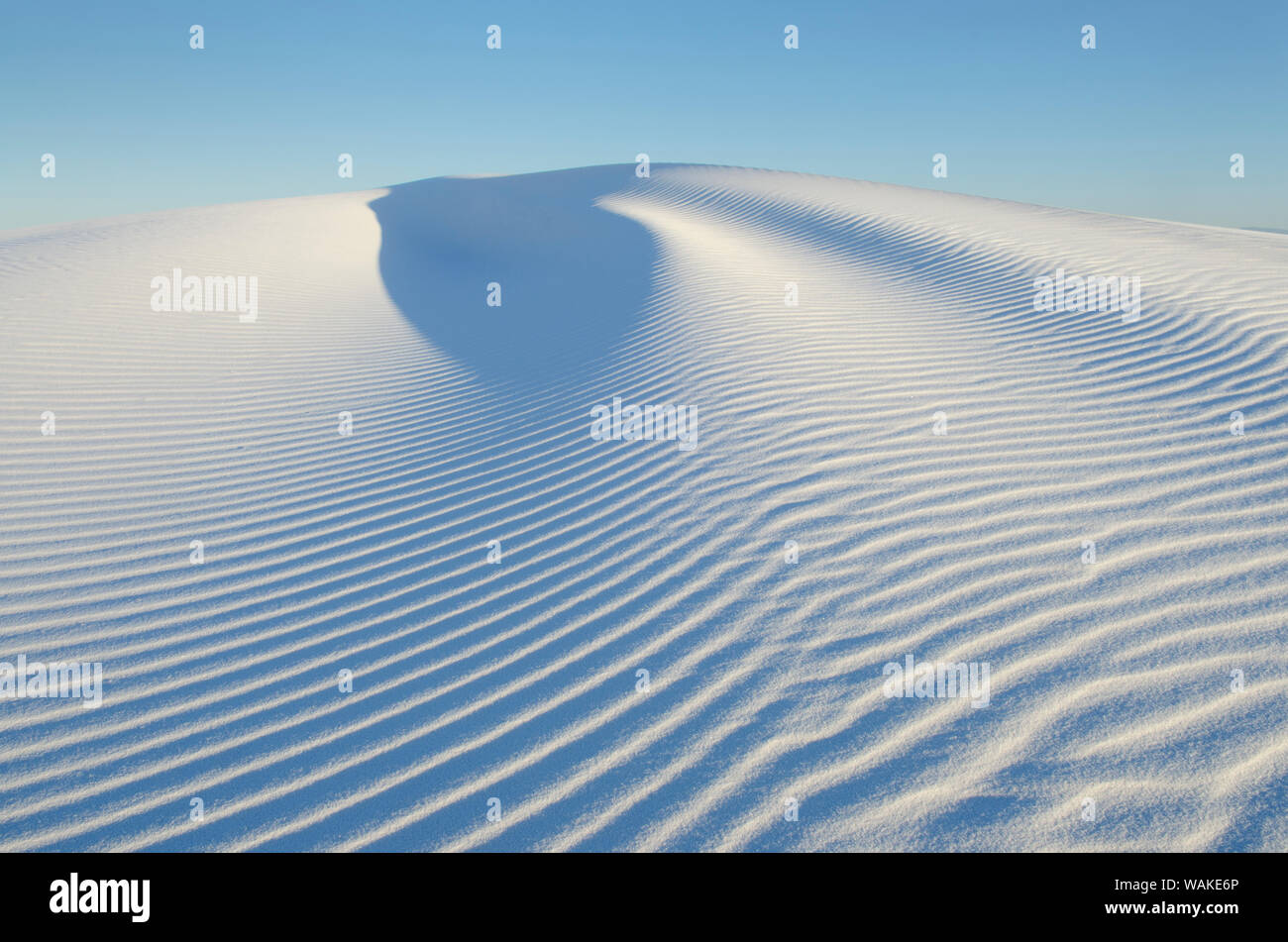 Ripple patterns in gypsum sand dunes, White Sands National Monument, New Mexico Stock Photo