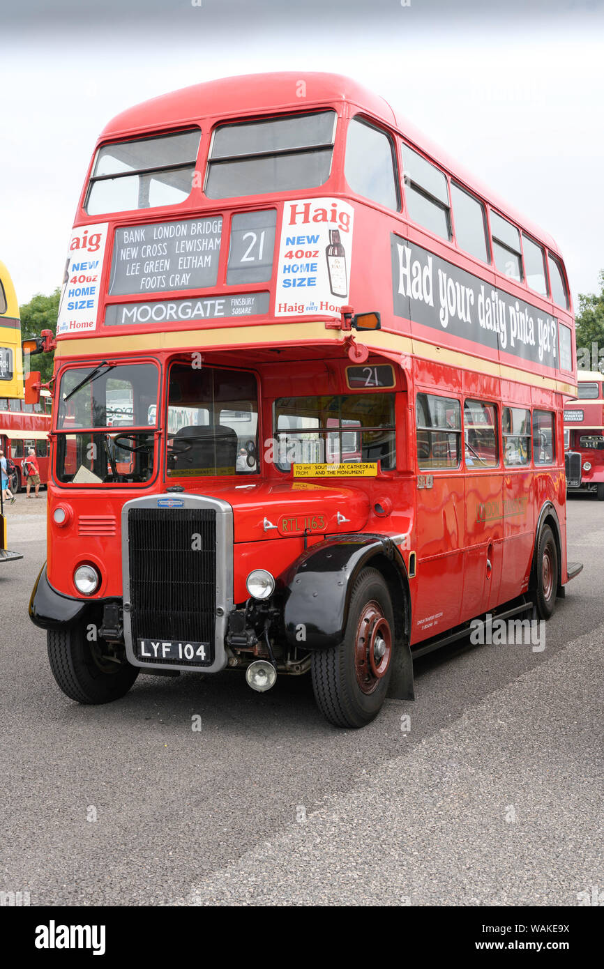 1951 London Transport operated Leyland 7 RT Park Royal body double decker bus (RTL1163) Stock Photo