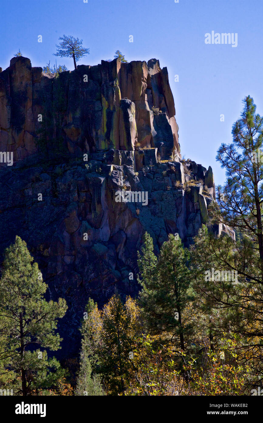 USA, New Mexico, Jemez Mountains in Fall Stock Photo Alamy