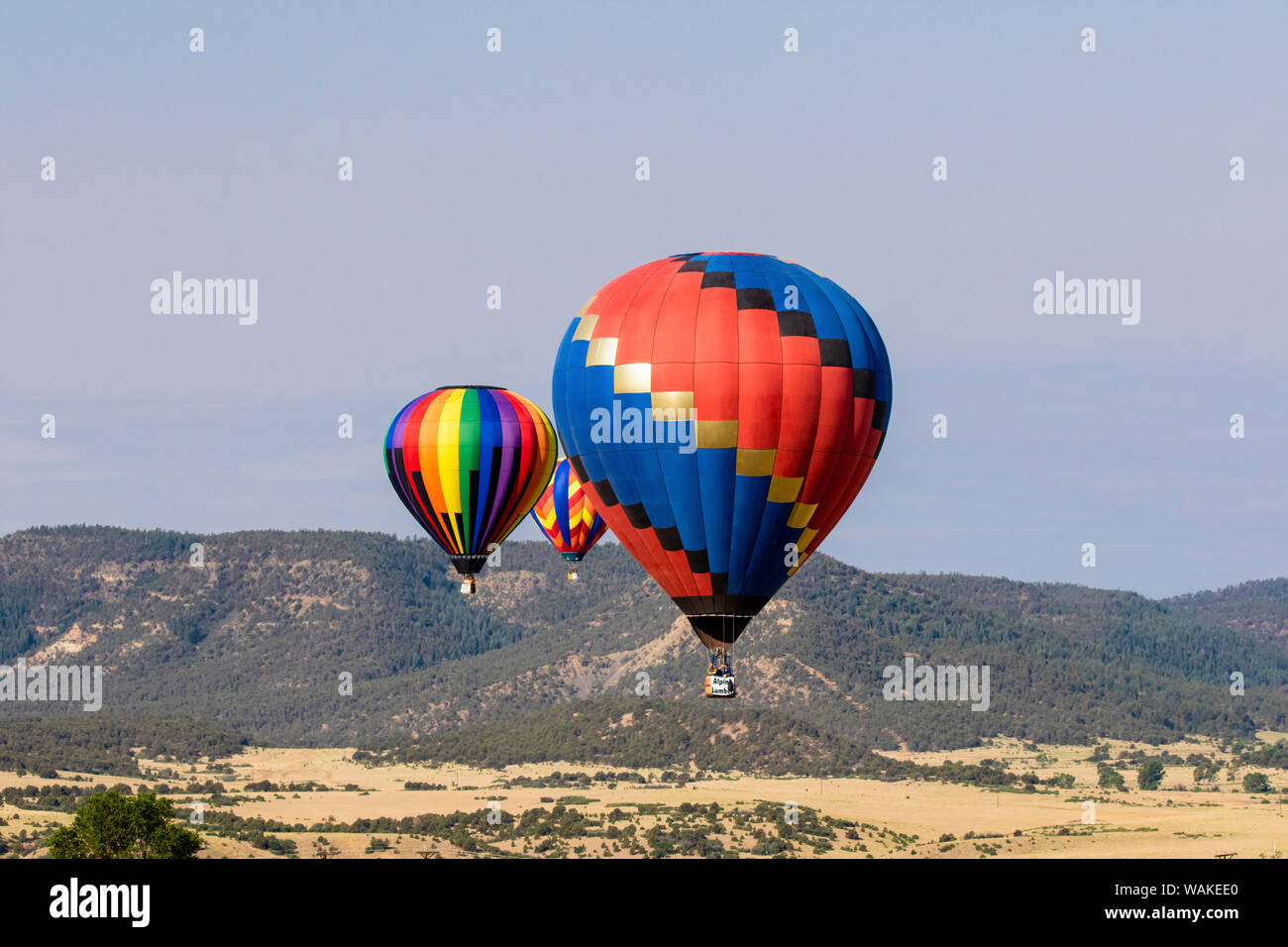 Hot air balloon bringing color to the sky. (Editorial Use Only) Stock Photo