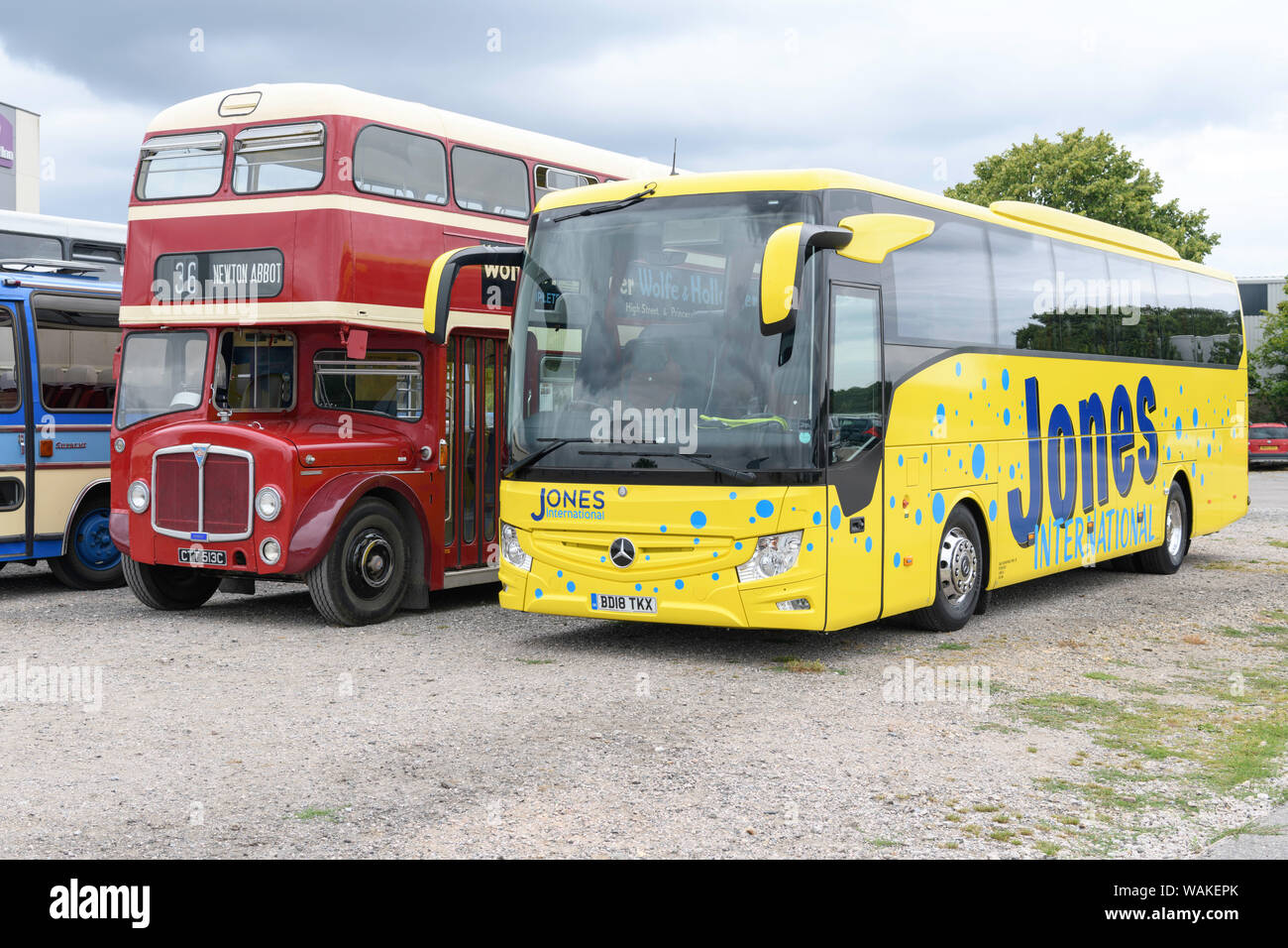 Old and new. Line up of buses and coaches at Devon General rally August 2019. Stock Photo