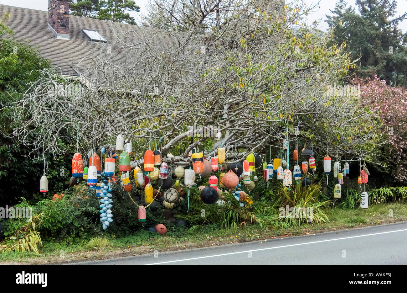 USA, Oregon, Newport. Tree decorated with buoys. Credit as: Wendy Kaveney / Jaynes Gallery / DanitaDelimont.com Stock Photo