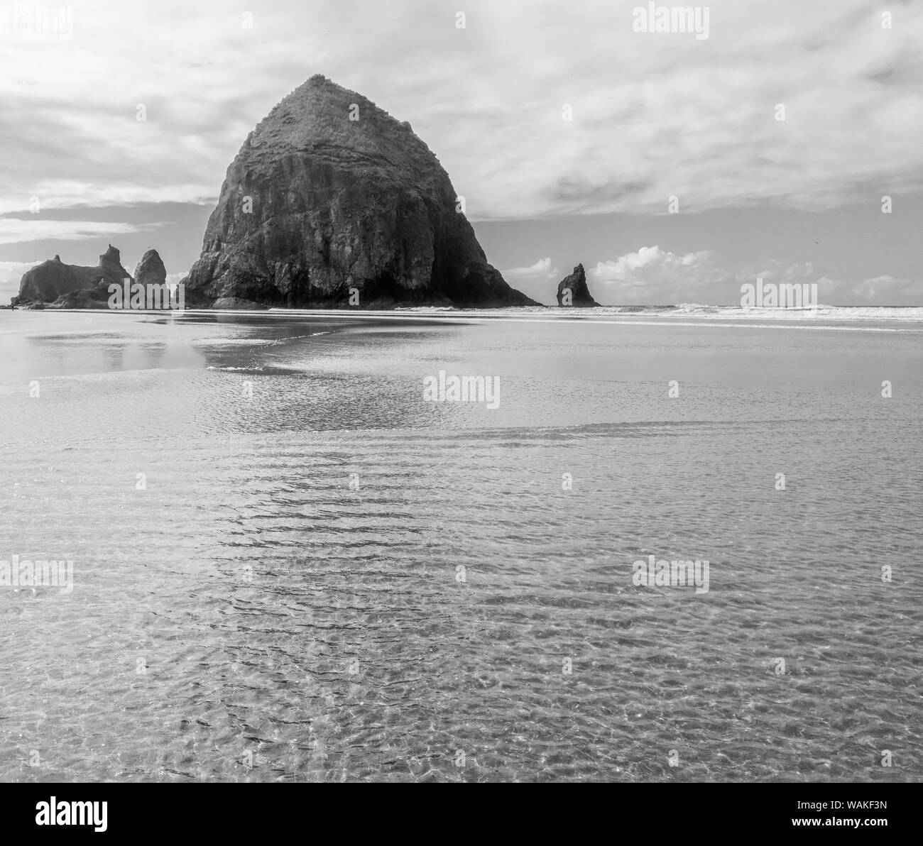 USA, Oregon, Cannon Beach. Black and white of Haystack Rock reflecting in sand. Credit as: Wendy Kaveney / Jaynes Gallery / DanitaDelimont.com Stock Photo