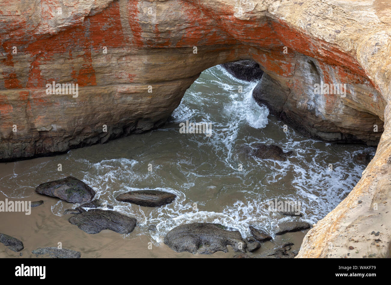 USA, Oregon, Otter Rock. Devil's Punchbowl beginning to fill as tide comes in. Credit as: Wendy Kaveney / Jaynes Gallery / DanitaDelimont.com Stock Photo