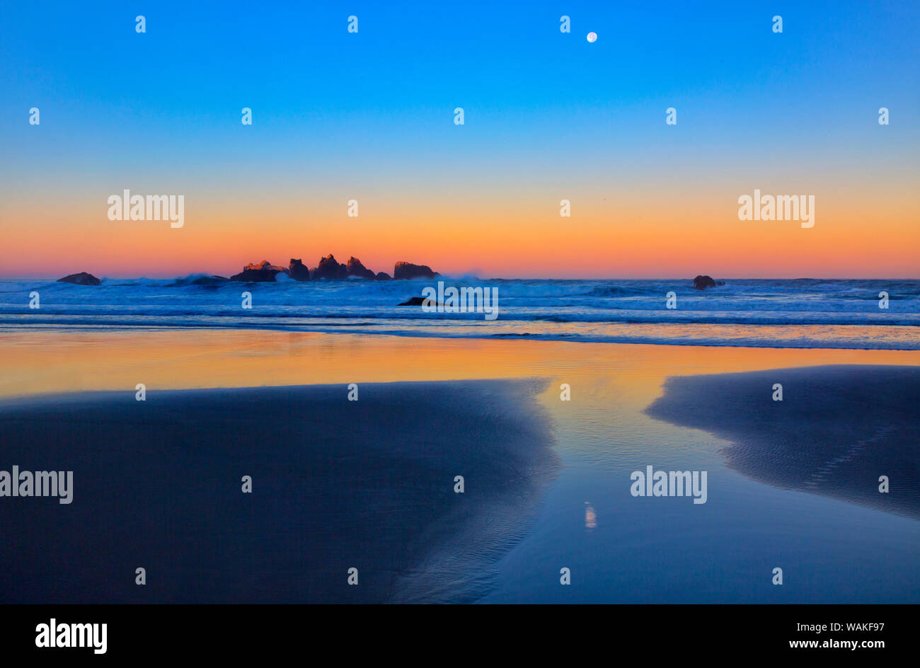 USA, Oregon, Bandon. Beach moonset at sunrise. Credit as: Jean Carter / Jaynes Gallery / DanitaDelimont.com Stock Photo