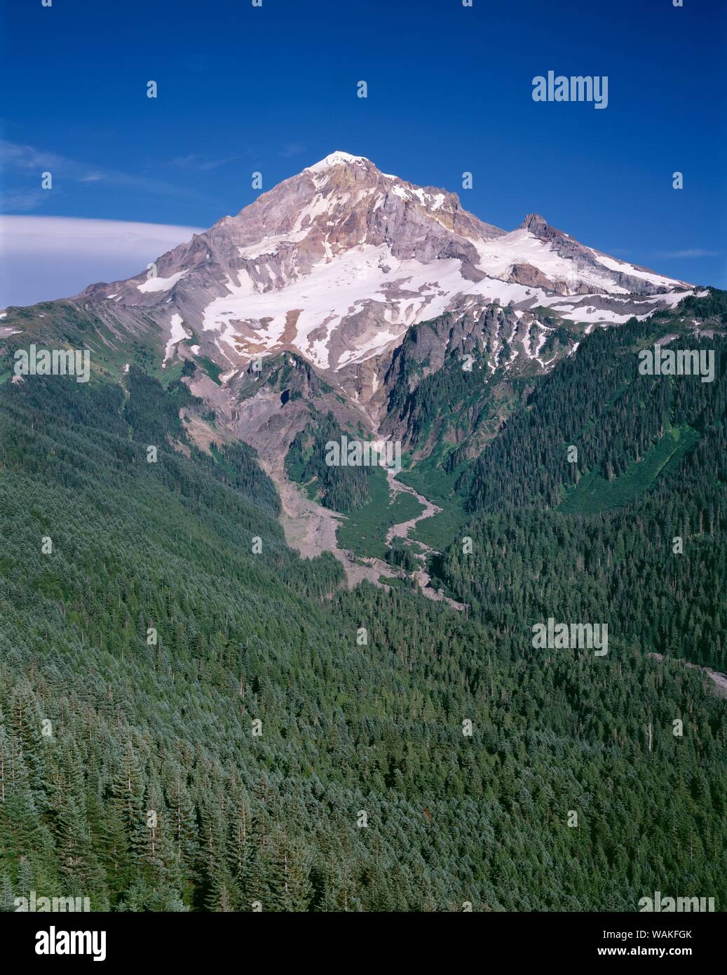 USA, Oregon. Mount Hood National Forest, Mount Hood Wilderness, west ...