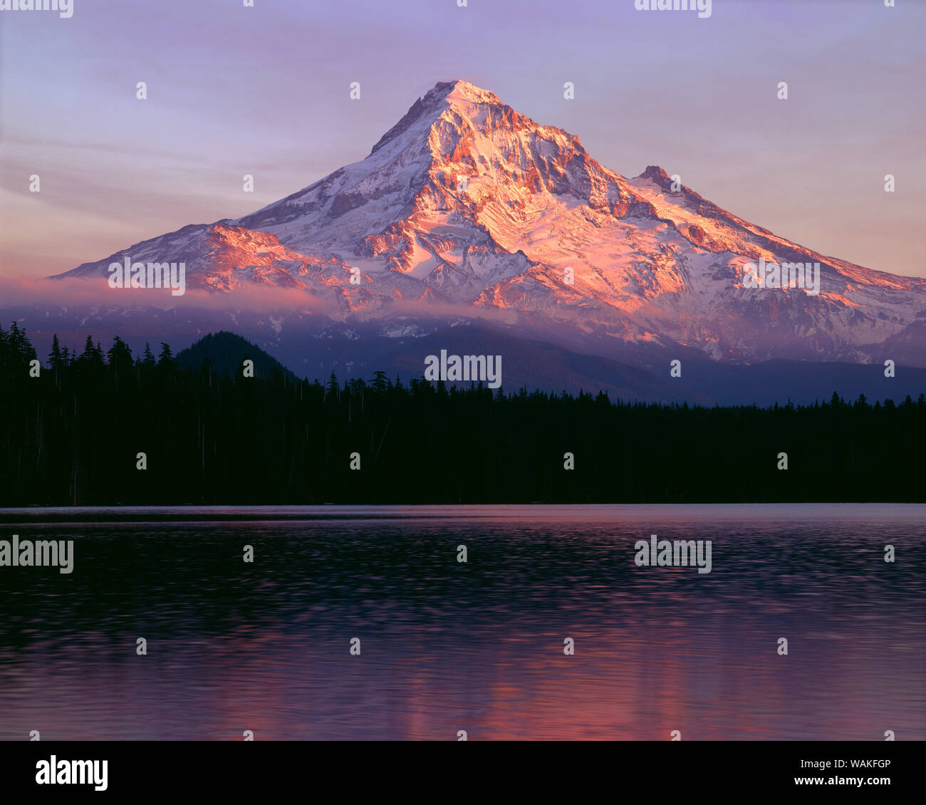 USA, Oregon. Mount Hood National Forest, sunset light reddens north ...